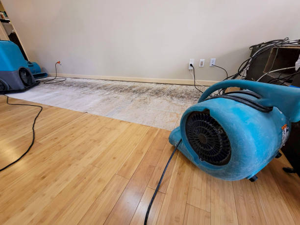 Professional Water Damage Repair technician working in Crystal Springs, MS